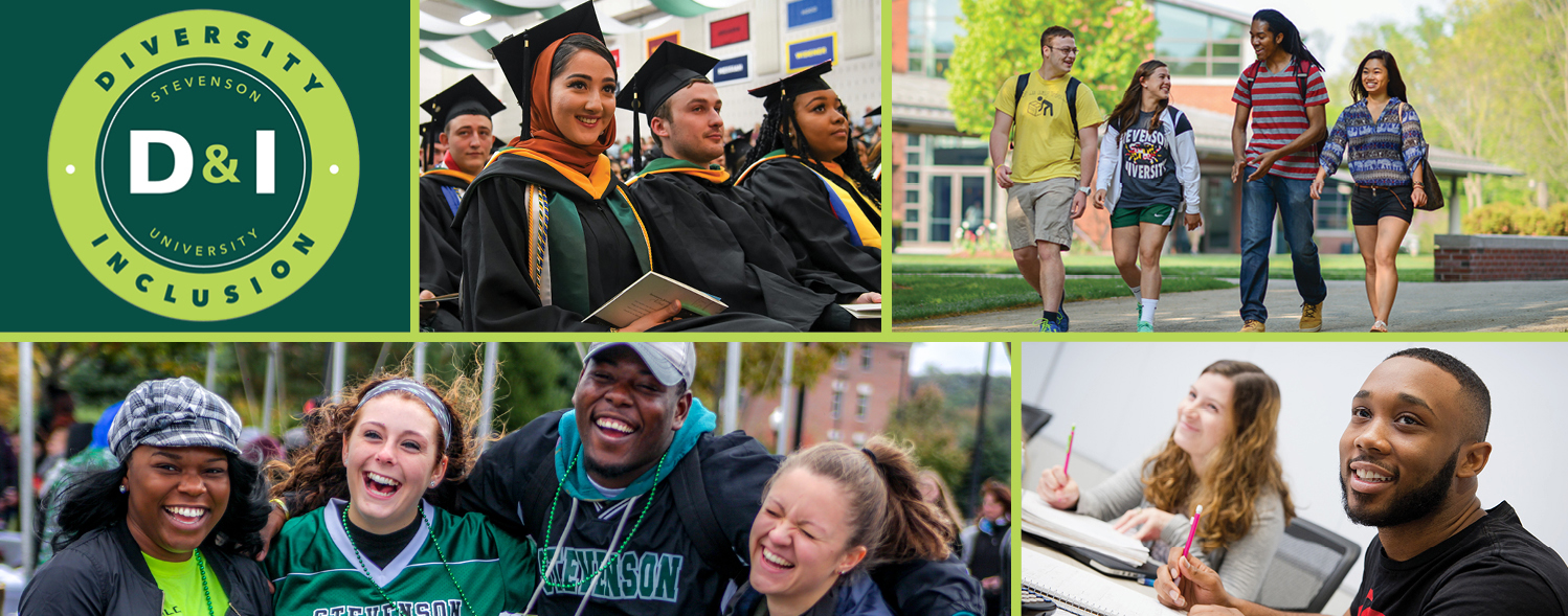 Diversity & Inclusion at Stevenson